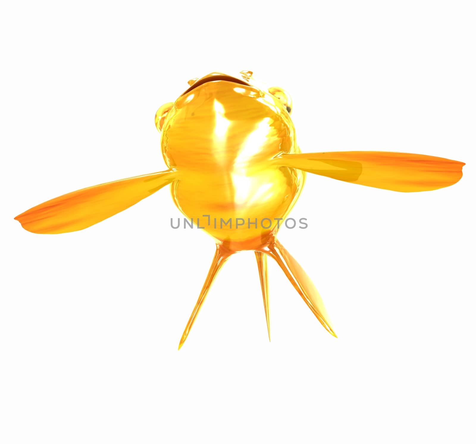 Gold fish. Isolation on a white background