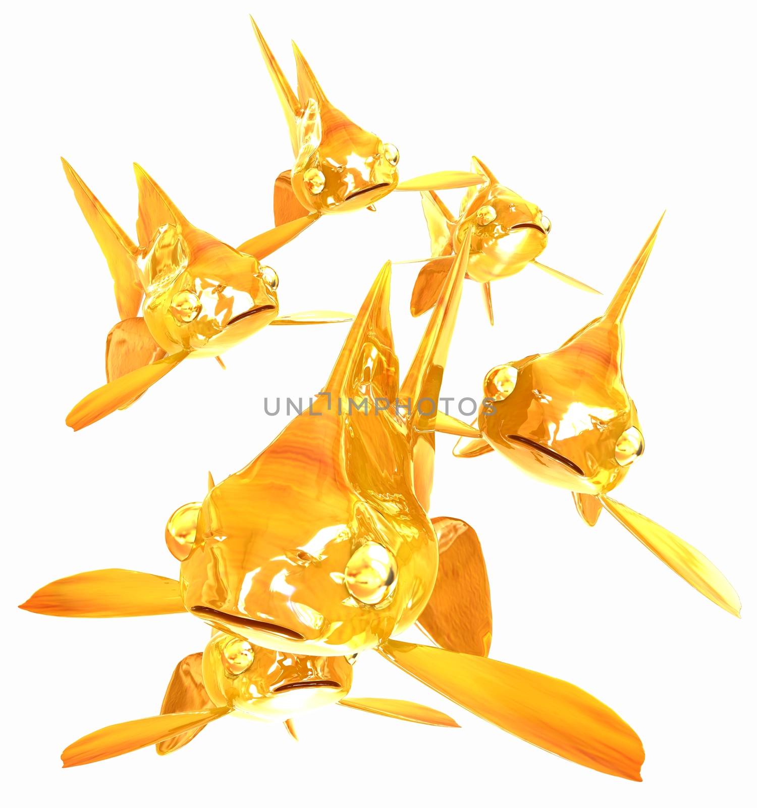 Gold fishes. Isolation on a white background