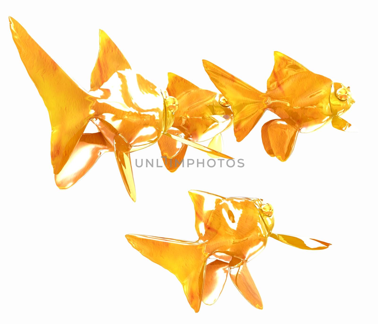 Gold fishes. Isolation on a white background