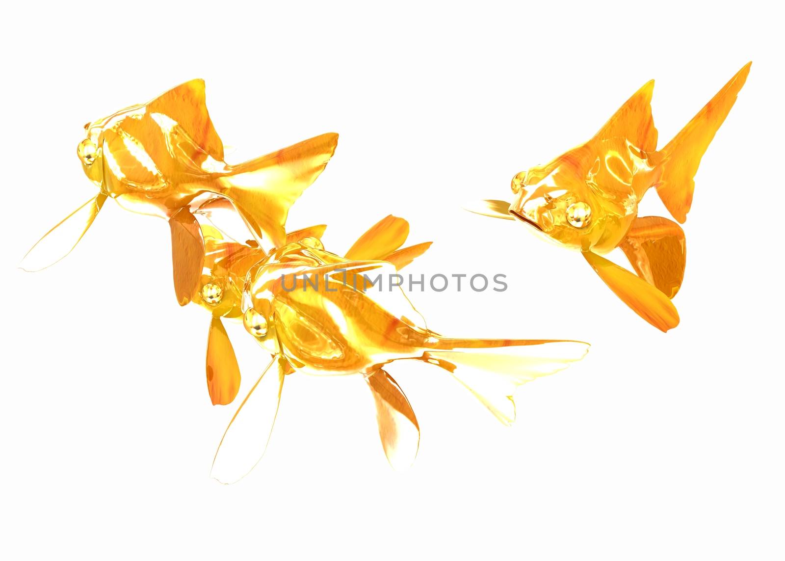 Gold fishes. Isolation on a white background