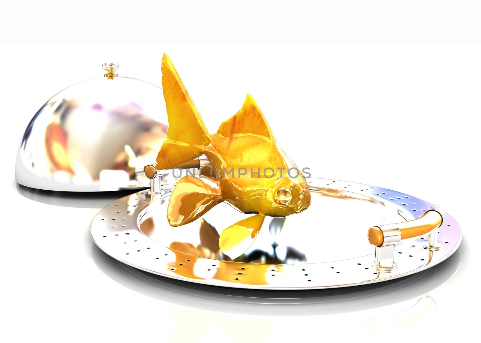 Gold fish on a restaurant cloche on a white background