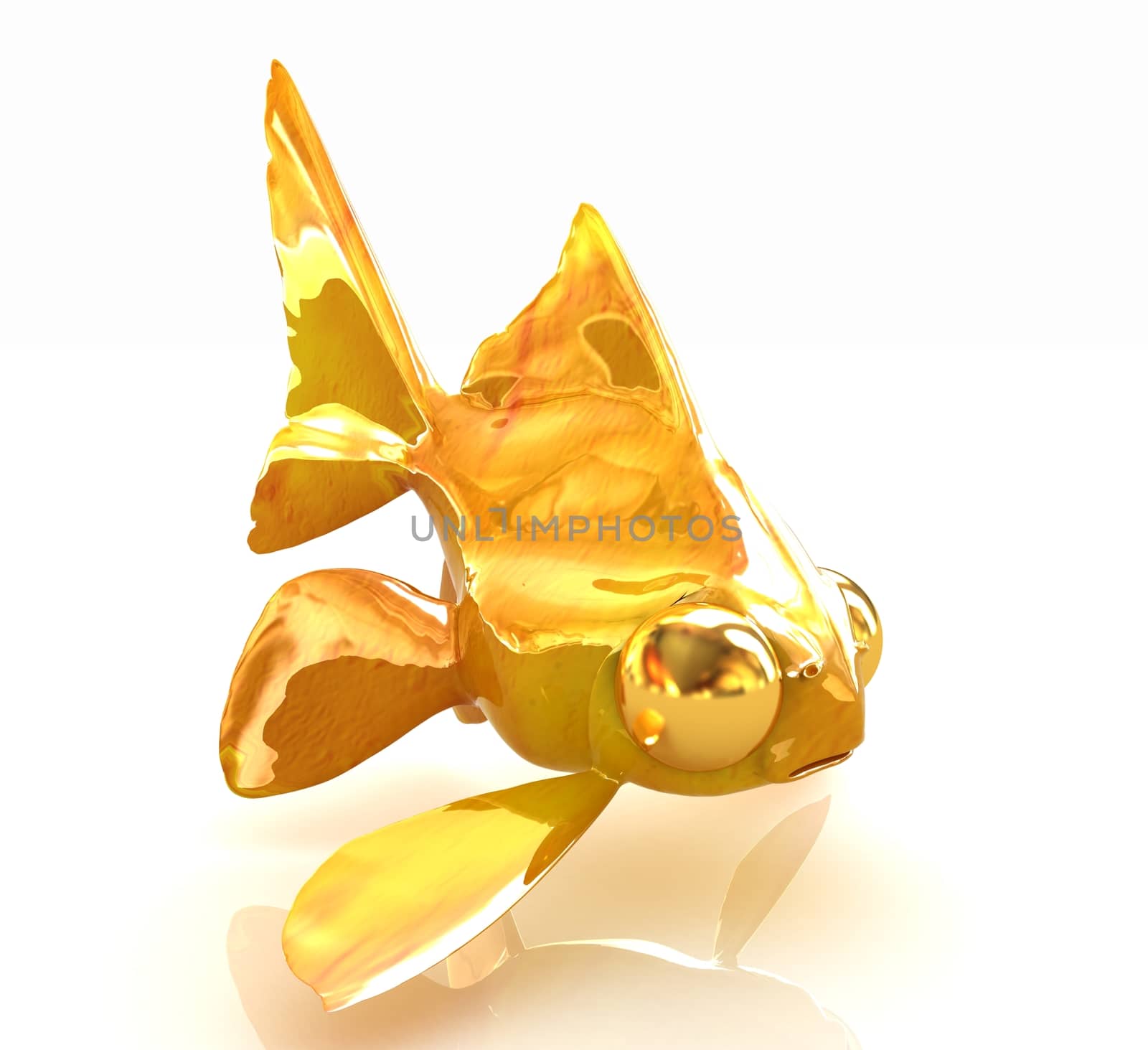 Gold fish on a white background 