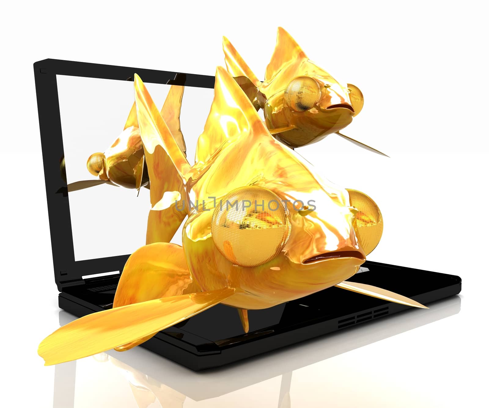 Gold fishea and laptop on a white background