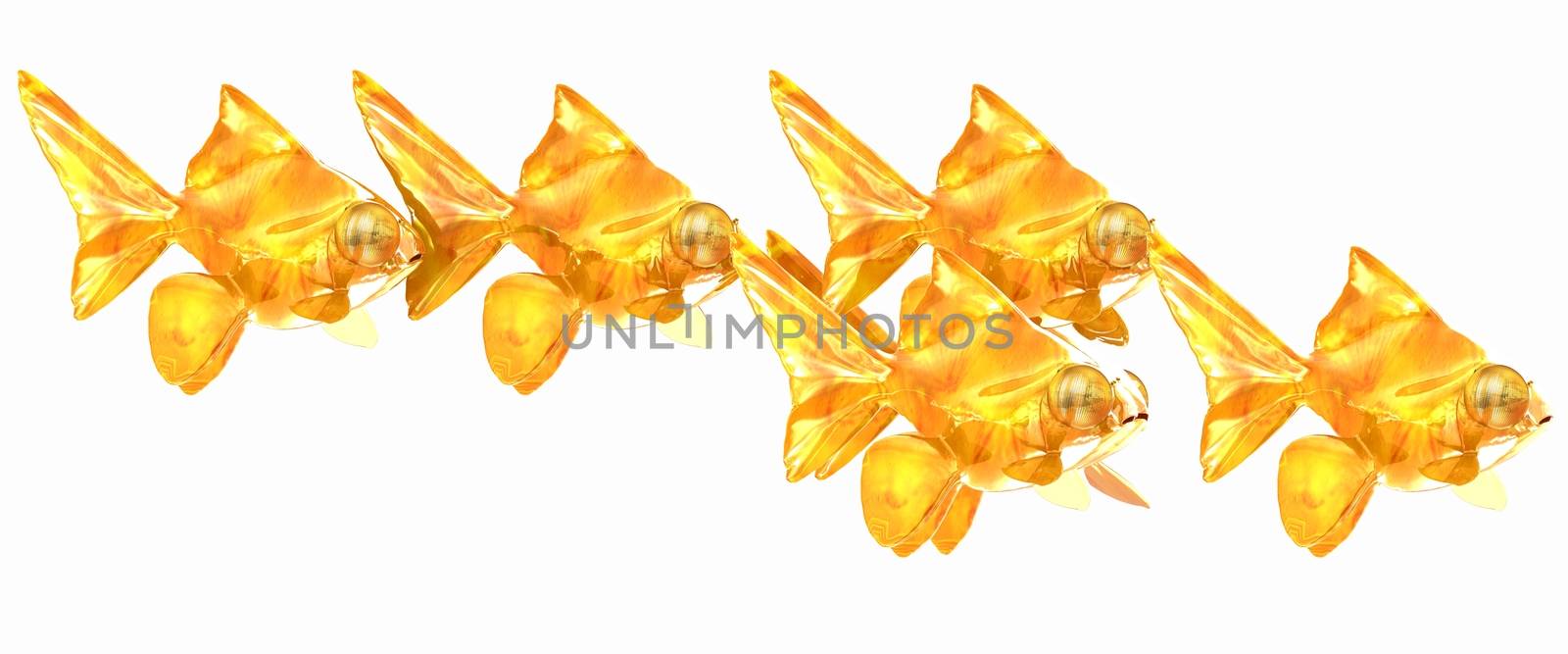 Gold fishes. Isolation on a white background 