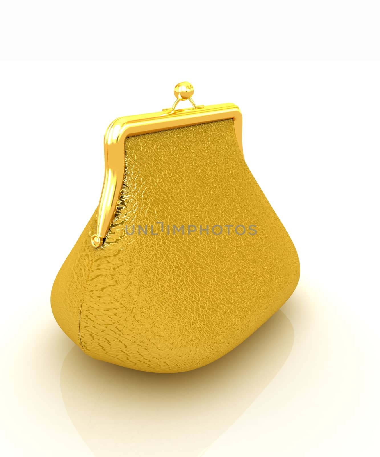 Leather purse on a white background