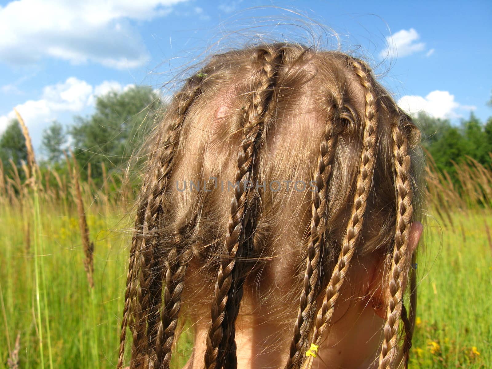 little girl with a lot of braides by alexmak