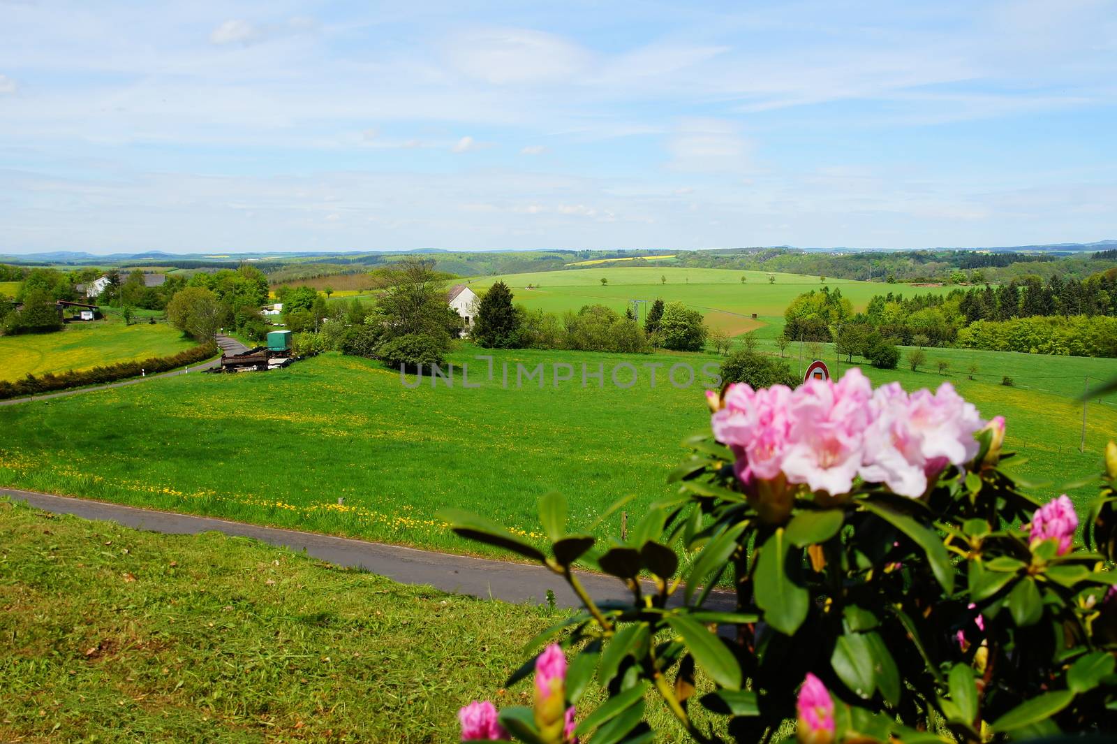 Landschaft in der Eifel bei Bad Bertrich
