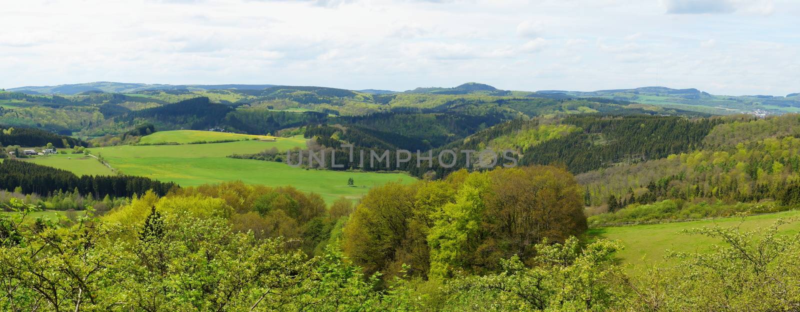 Vulkaneifel Panorama im Frühling