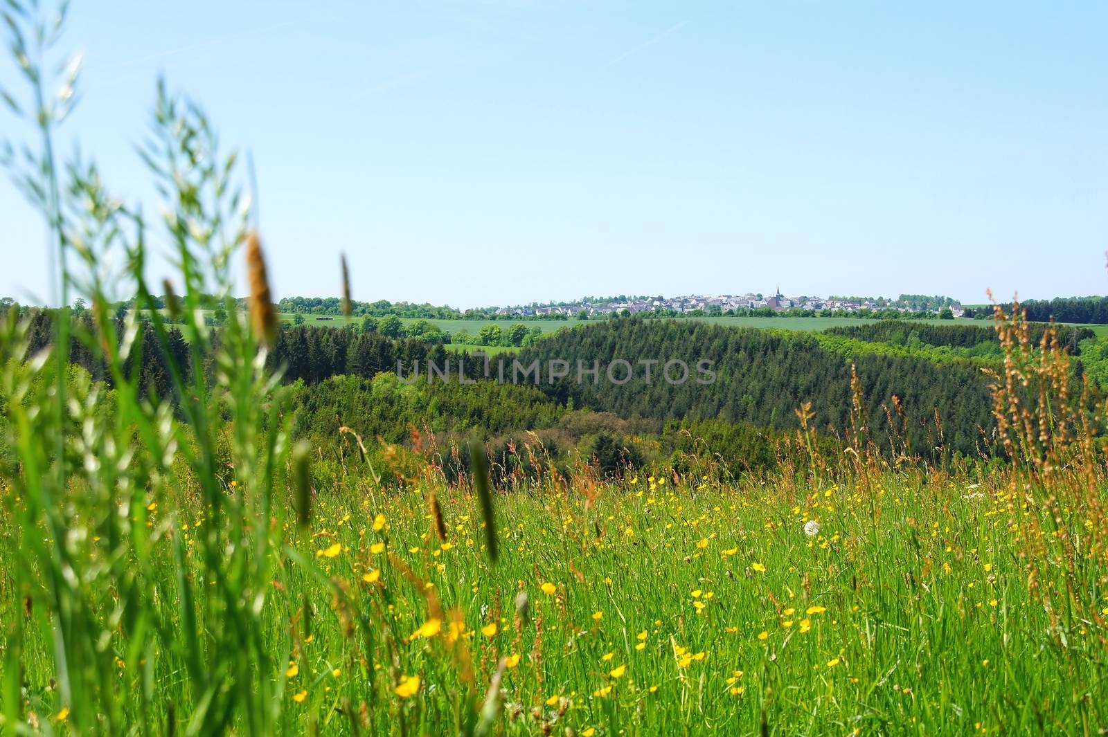 Monzelfeld im Hunsrück im Frühling