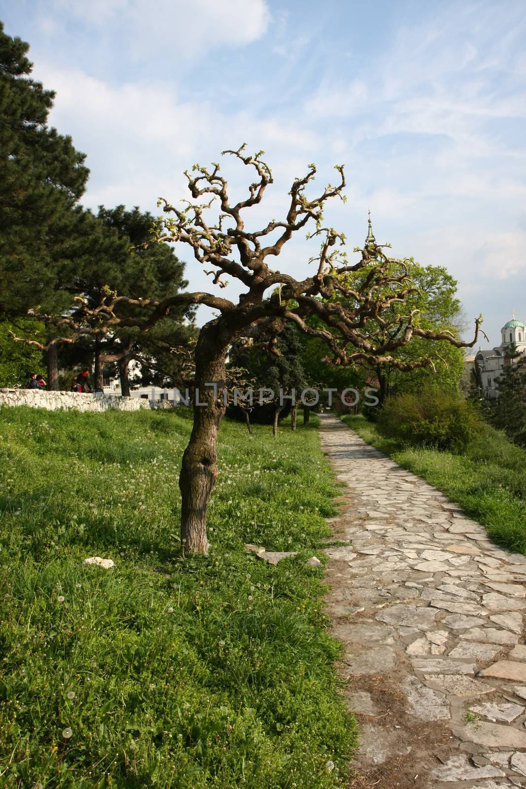 Landscape on Belgrade fortress Kalemegdan,Serbia