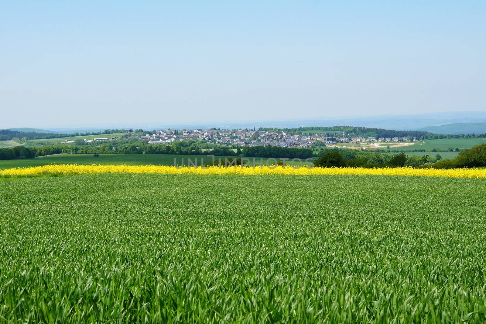 Monzelfeld im Hunsrück im Frühling