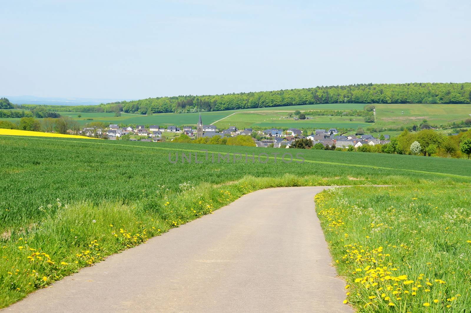 Straße nach Gonzerath im Hunsrück