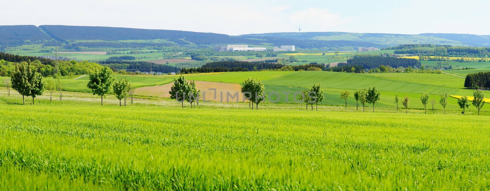 Hunsrück von Norden, Panorama bei Morbach