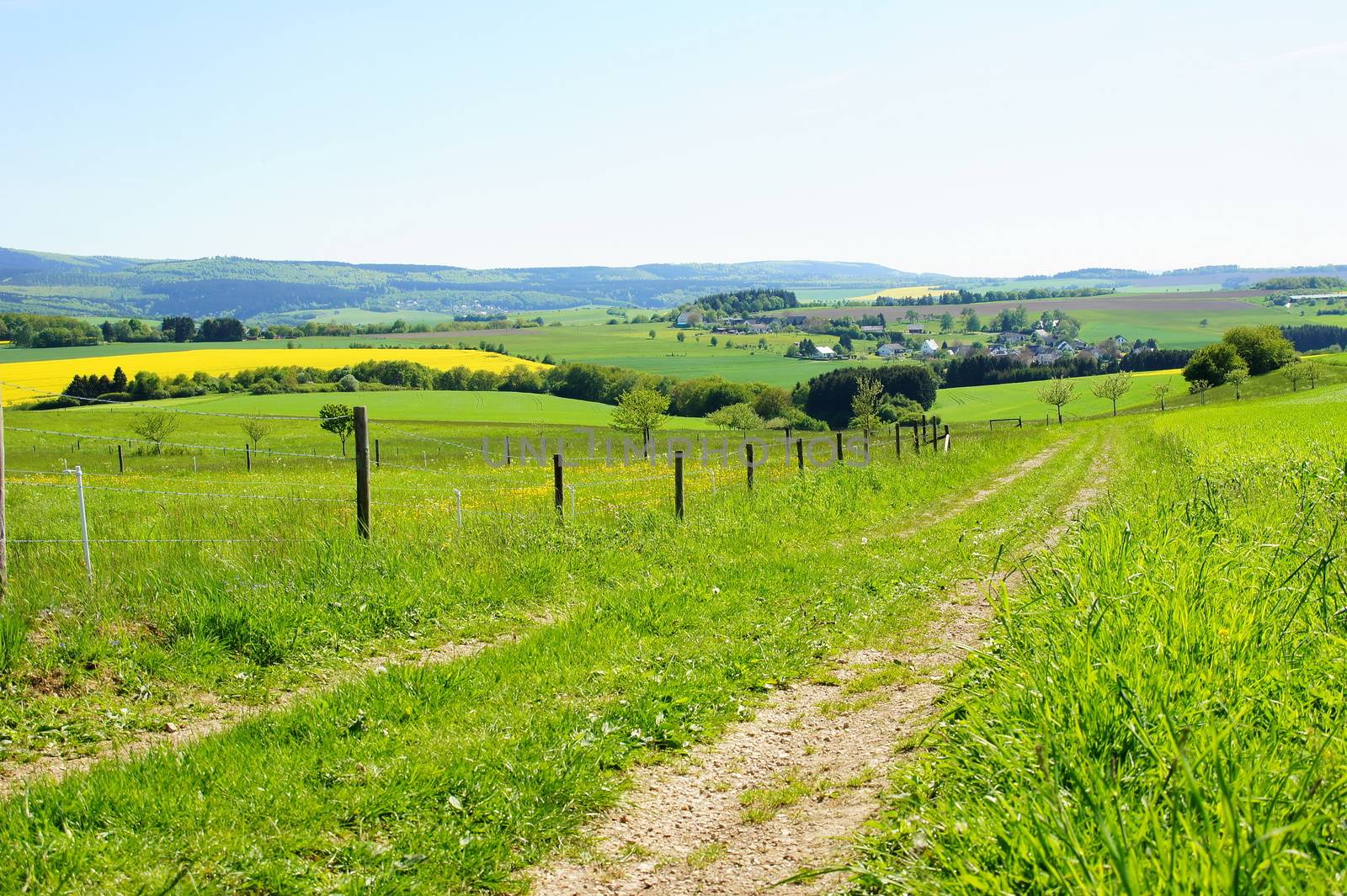 Landschaft im Hunsrück mit Weg, in der Ferne Odert