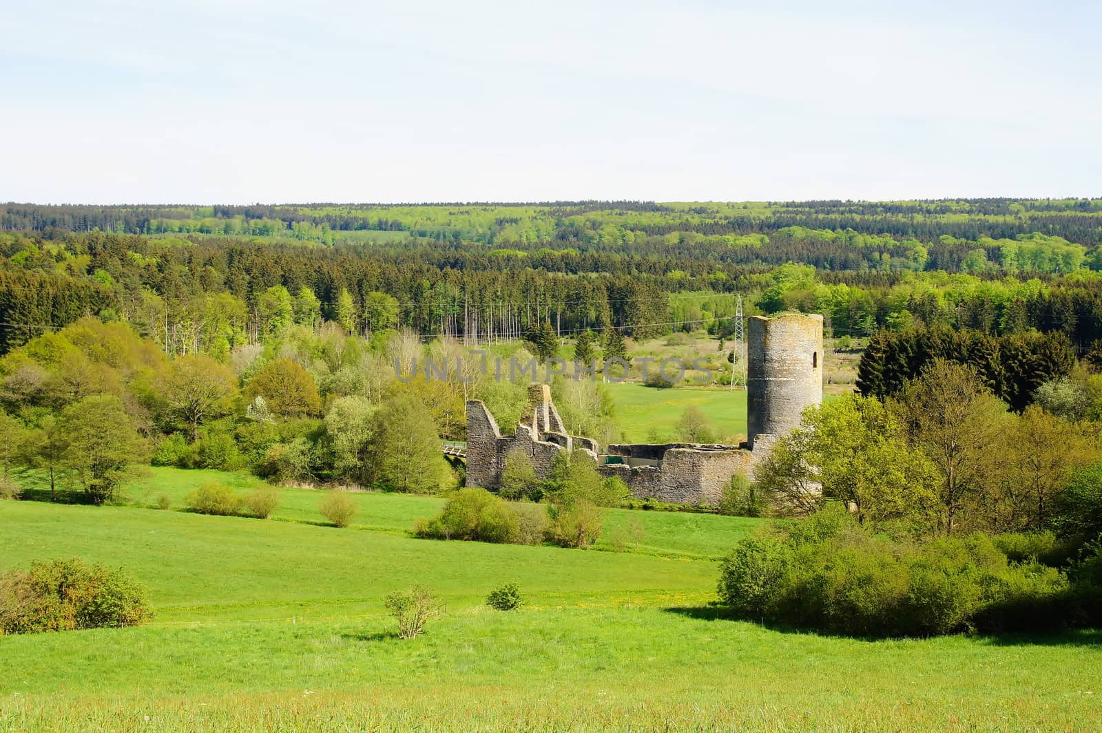 Ruine Baldenau am Idarwald im Hunsrück