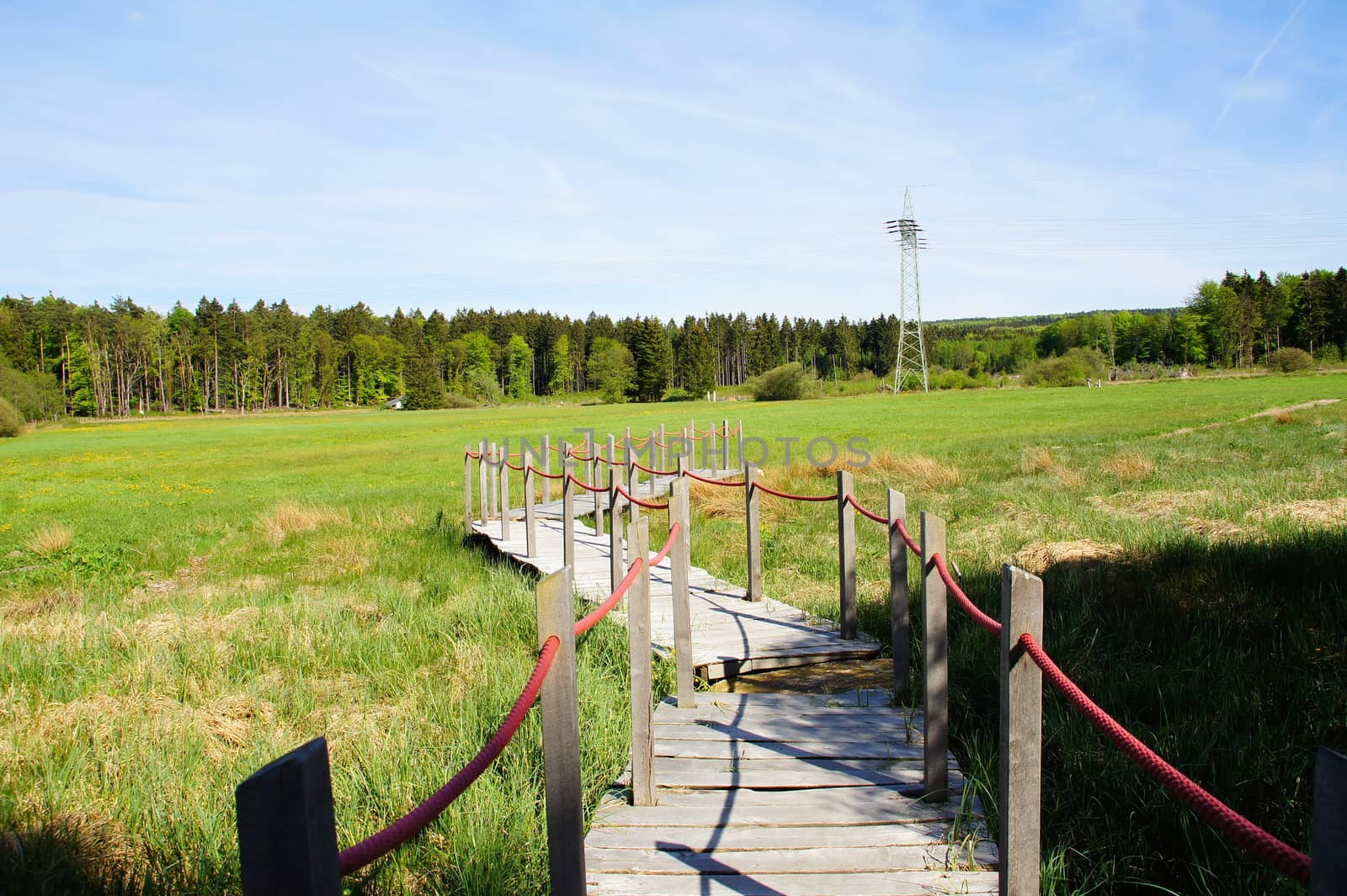 Holzsteg zur Arnikaschleife durch eine Moorlandschaft bei Morbach im Hunsrück