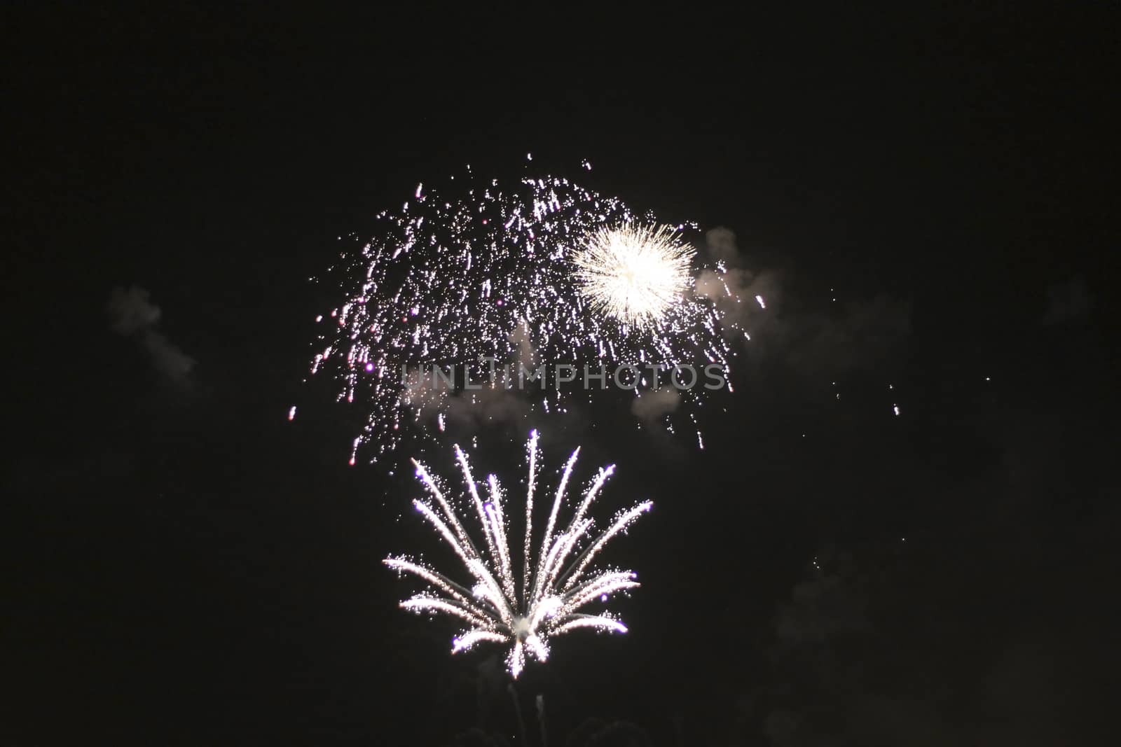 Colorful firework in the black night sky