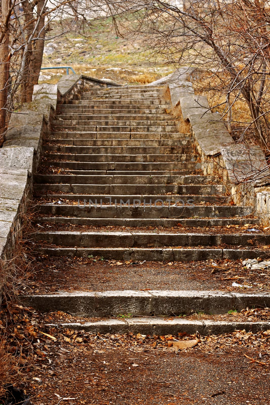 Old stone stairs leading up in autumn park
