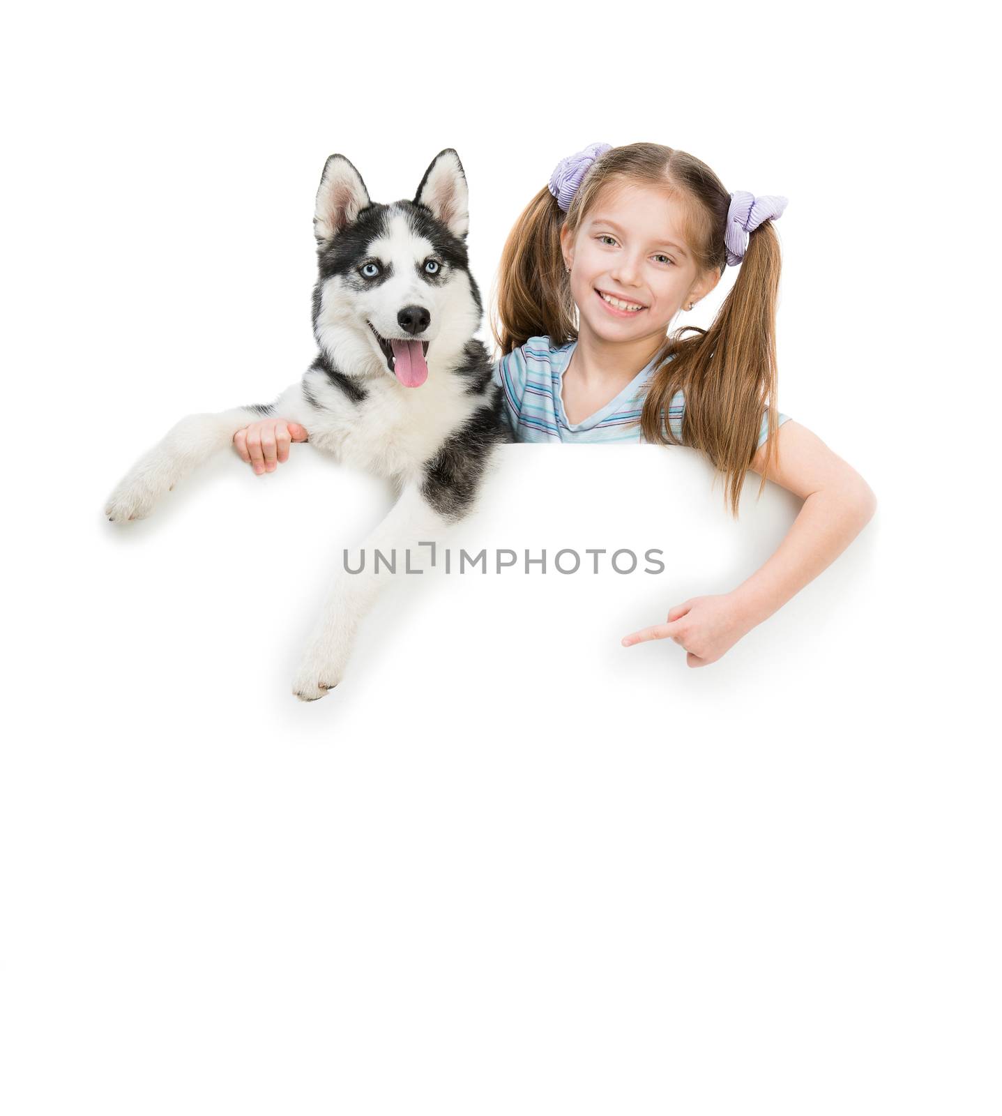 happy little girl and dog Husky with white cardboard
