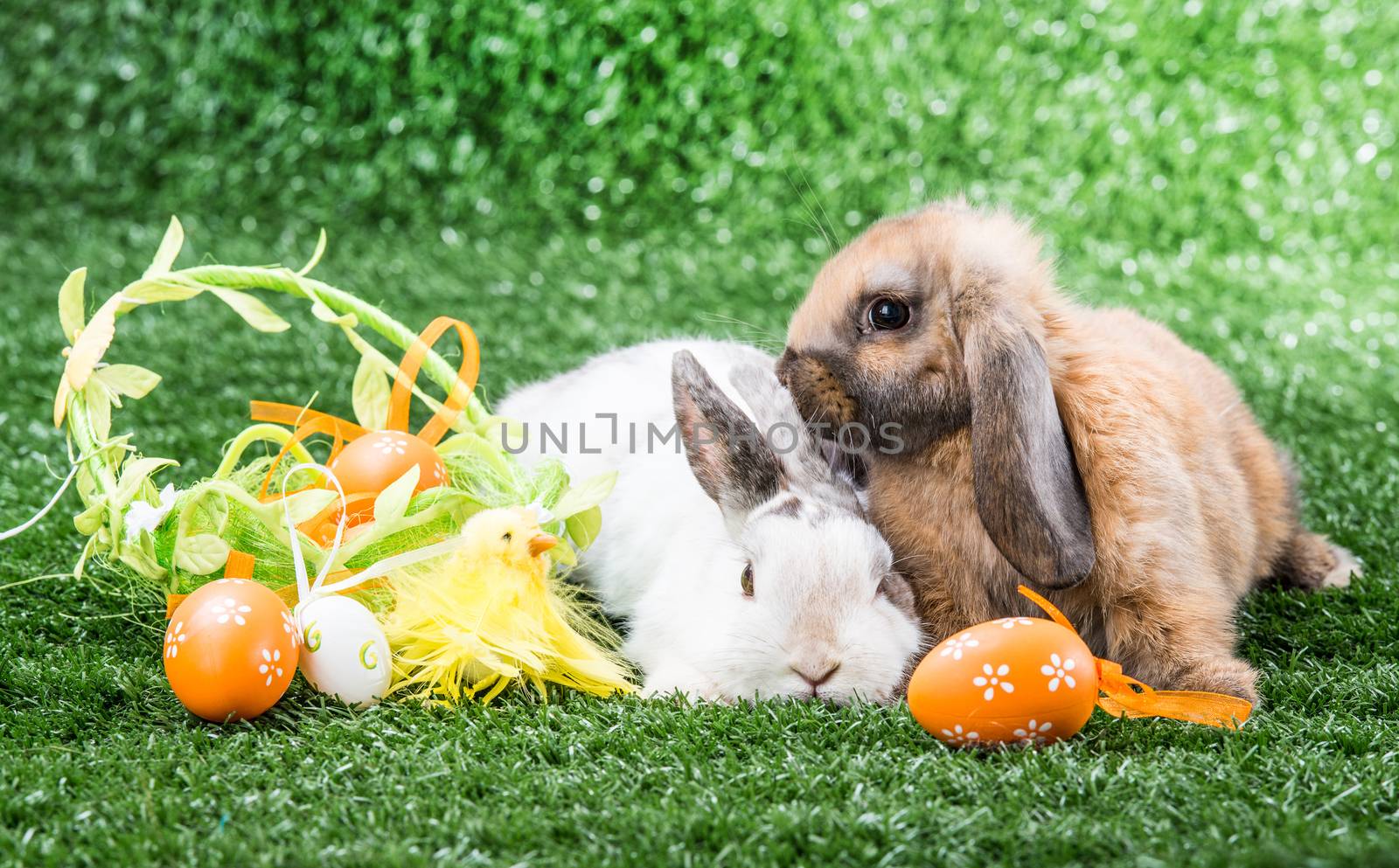 two rabbits on a green lawn with a basket of Easter eggs