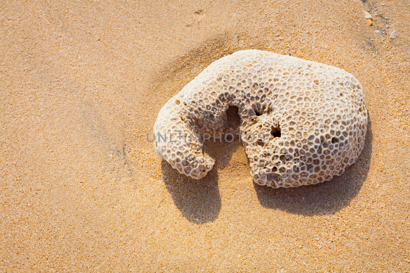 Beautiful surfing tropical sand beach background detail on sunny summer day