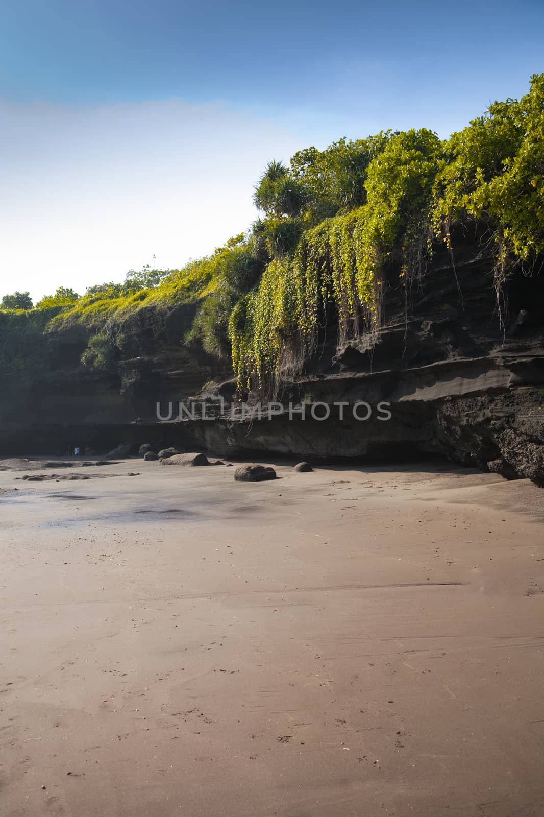 Beautiful surfing tropical sand beach on sunny summer day