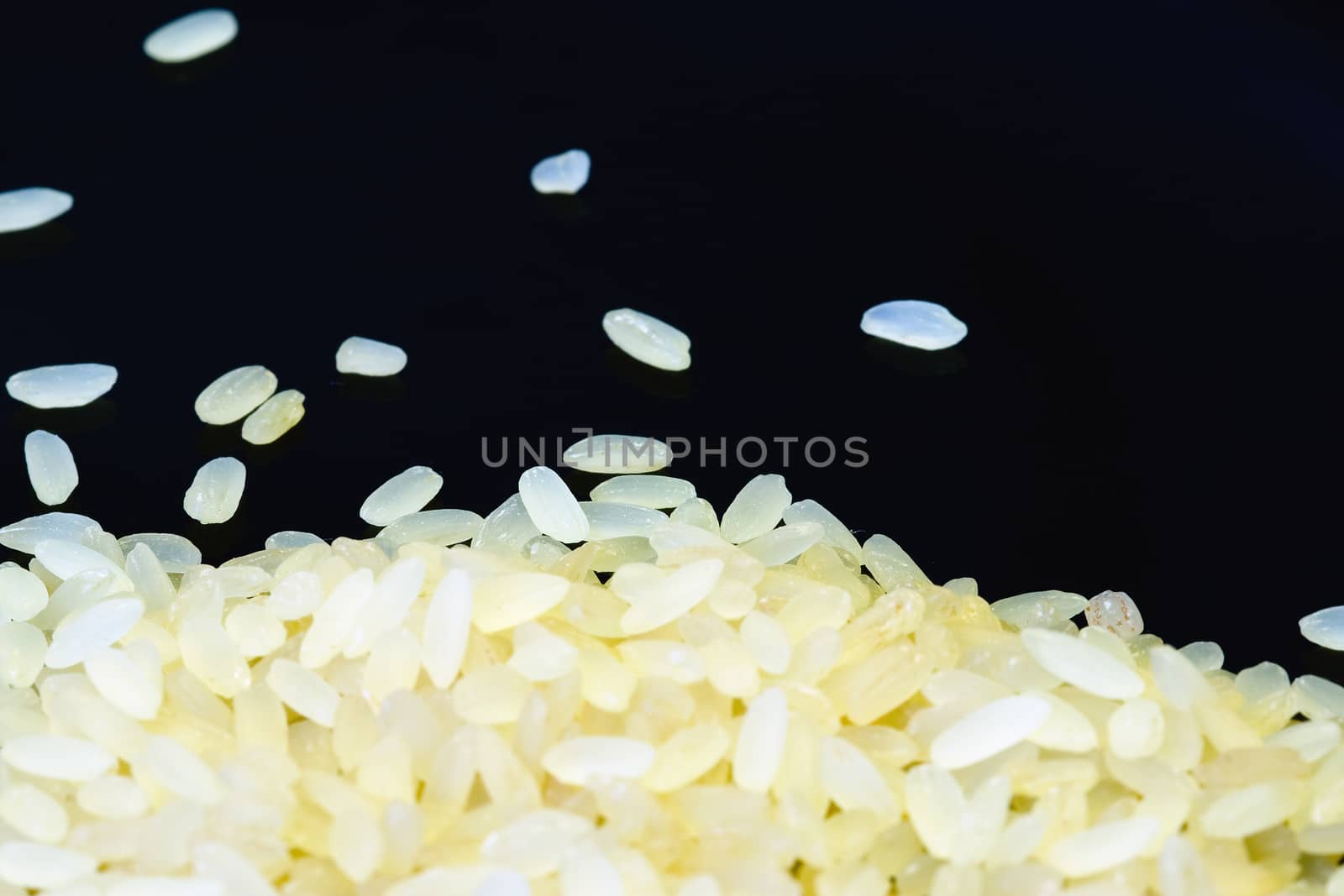 Rice  on black background close up by Lizard