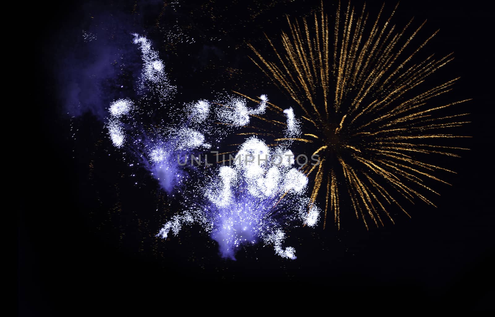 beatiful firework explosion in the night sky