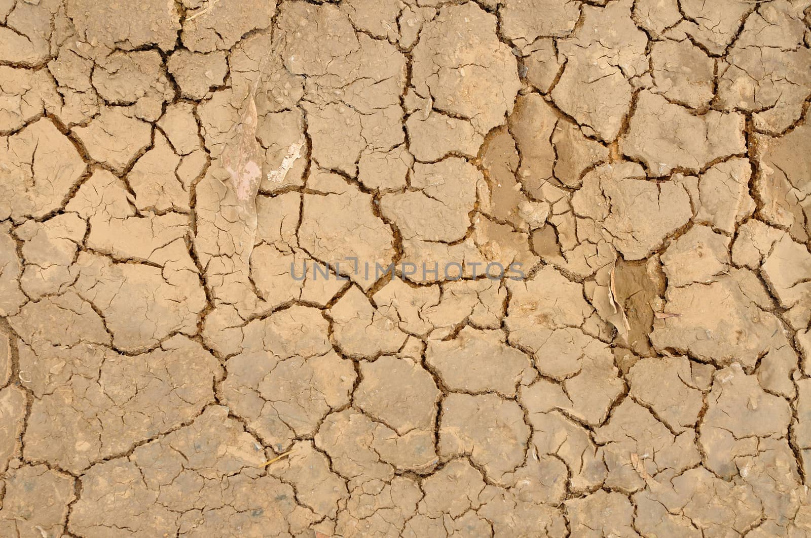 Cracked Soil Background by thampapon