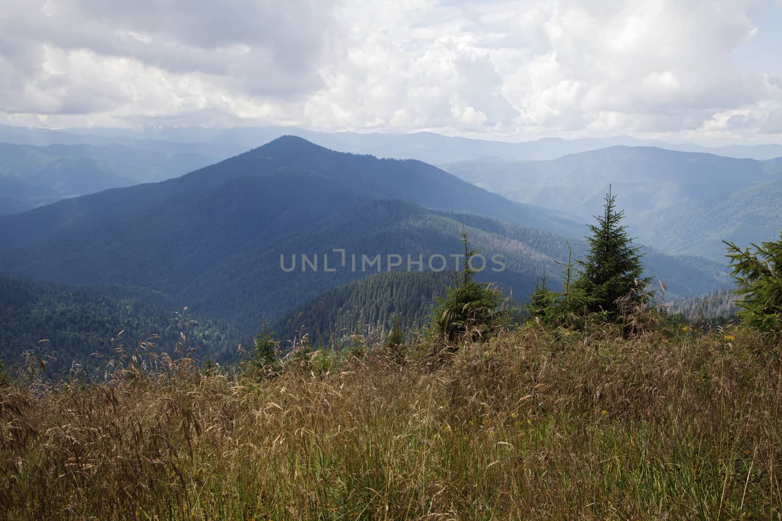 Mountain landscape, Eastern Carpathians mountains, view from above