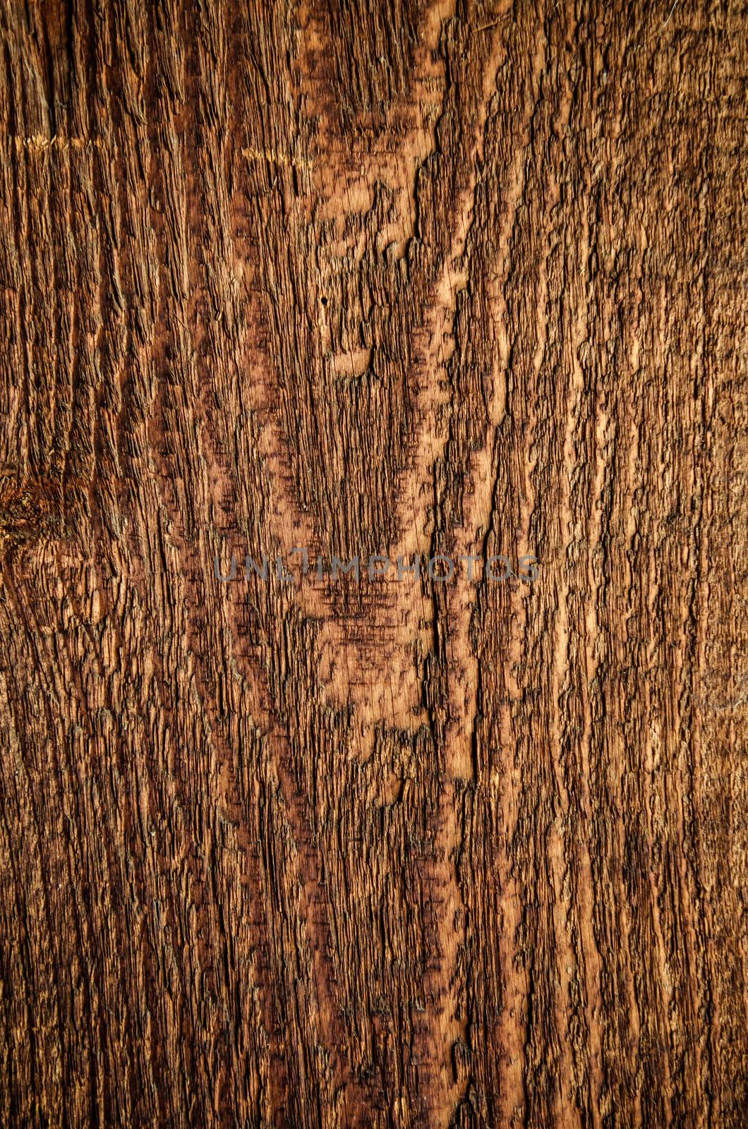 Detail of wood timber with rough structure, background