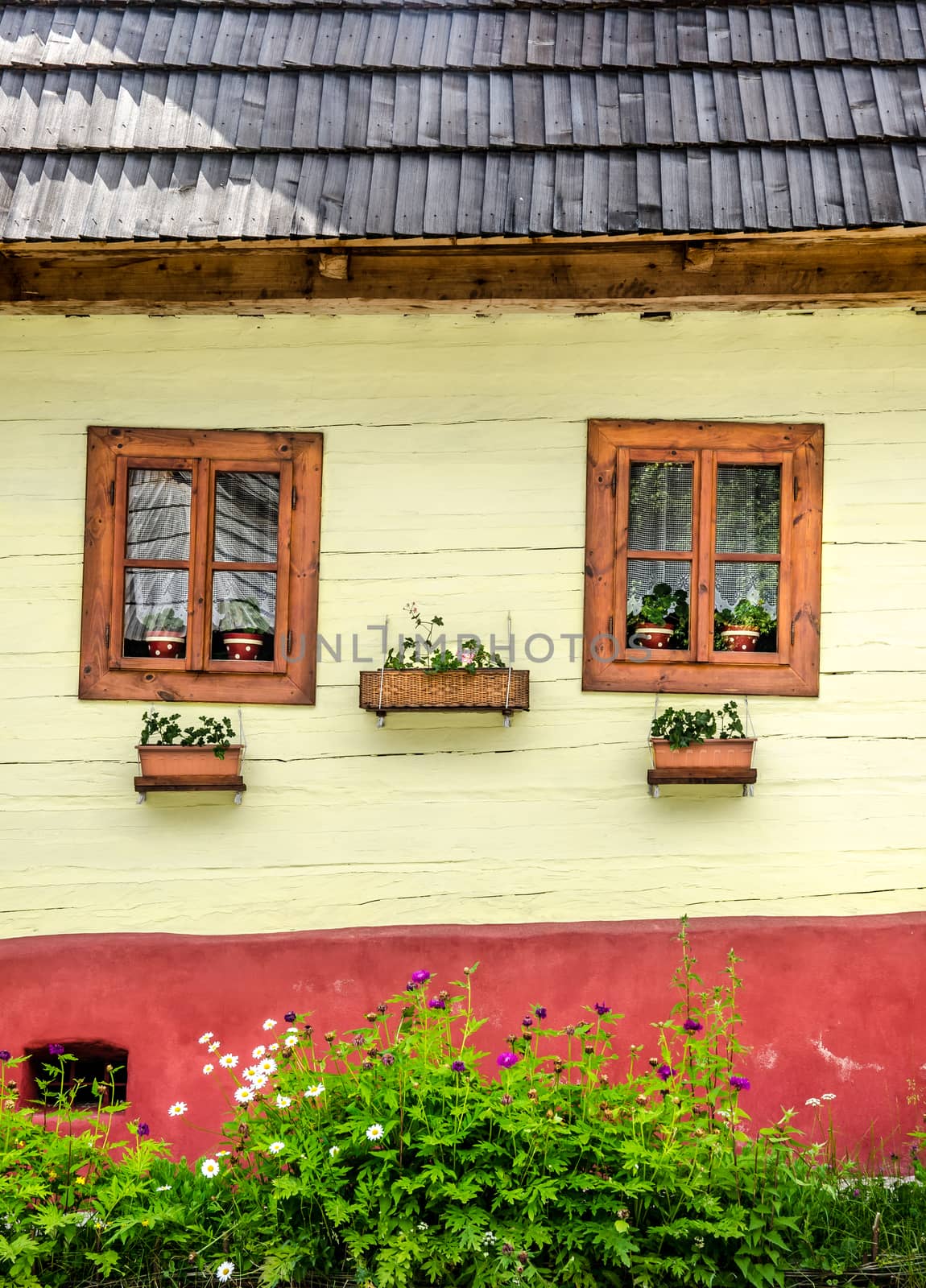 Detail of colorful windows with flowers on old traditional house by martinm303
