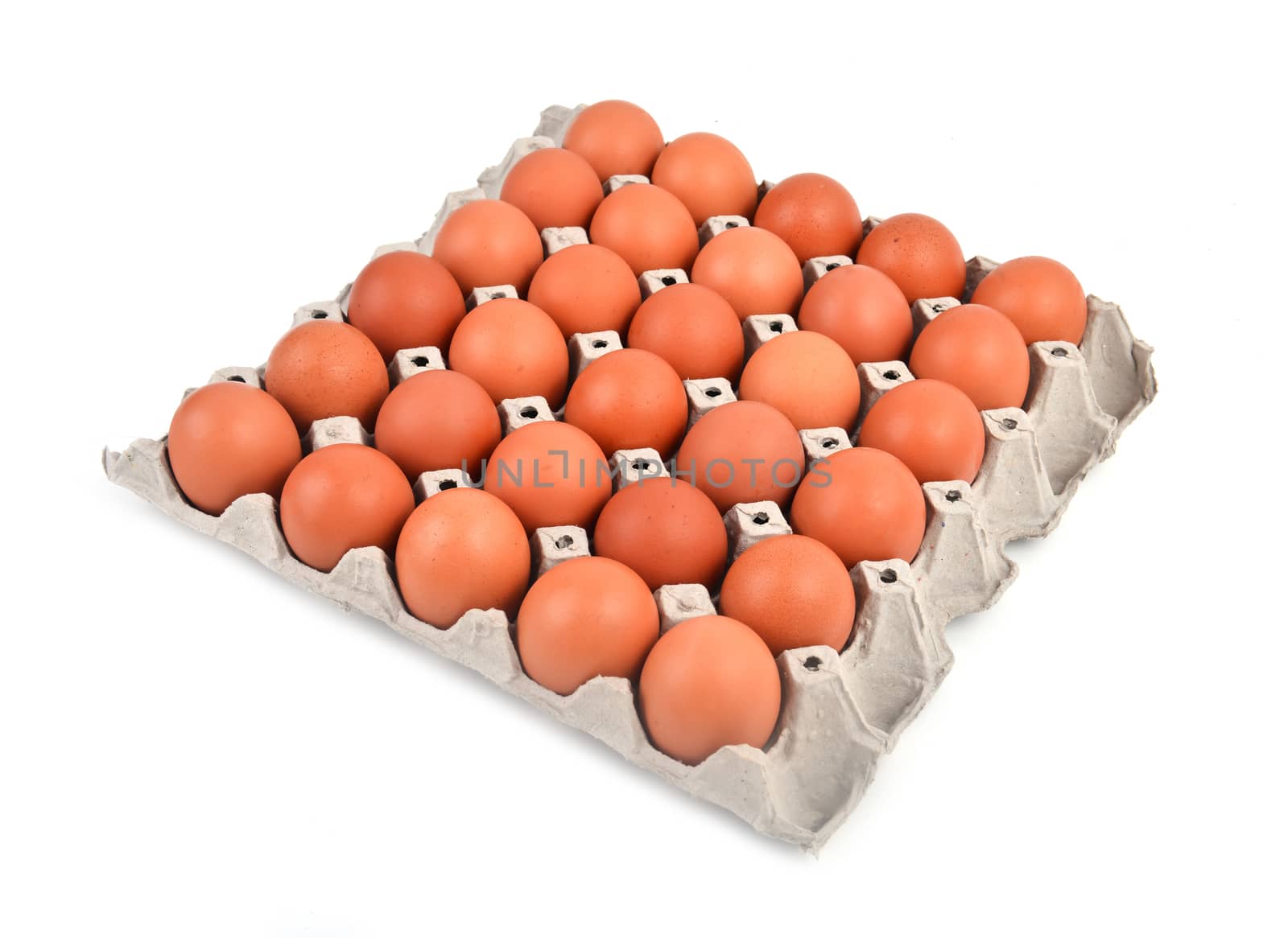 eggs in paper tray on white background