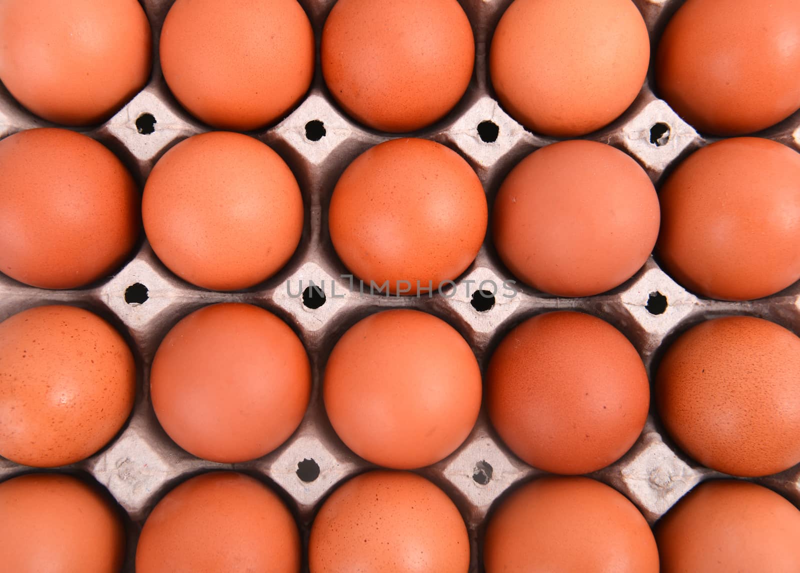 group of eggs in paper tray 