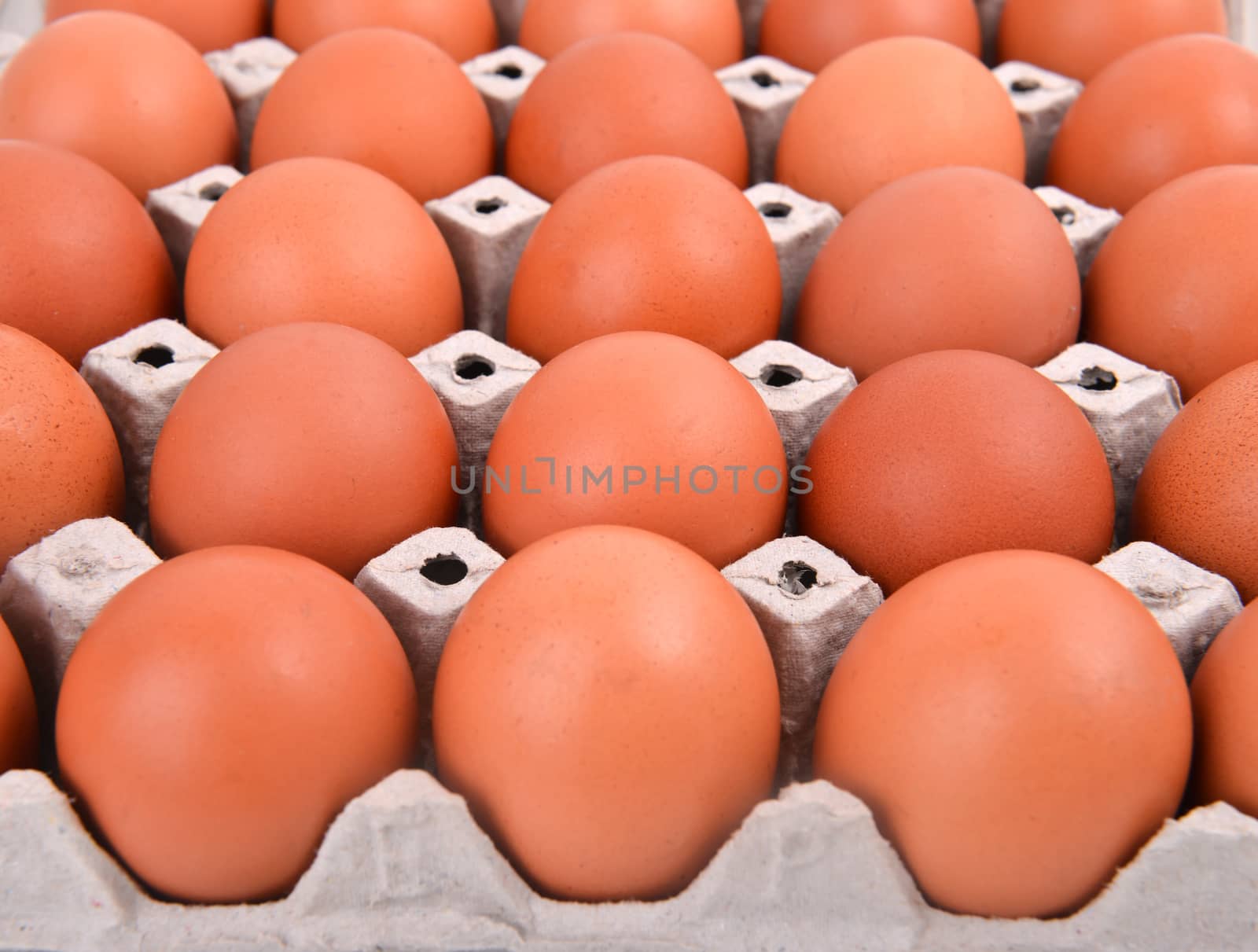 group of eggs in paper tray