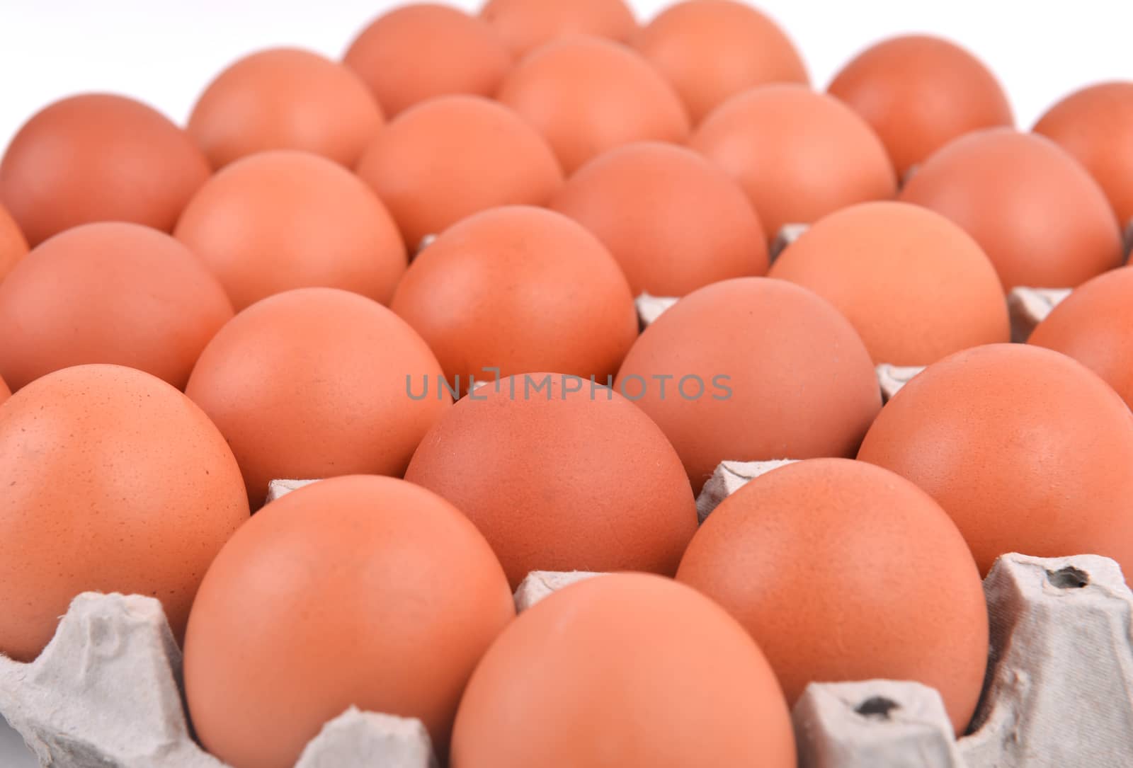 group of eggs in paper tray