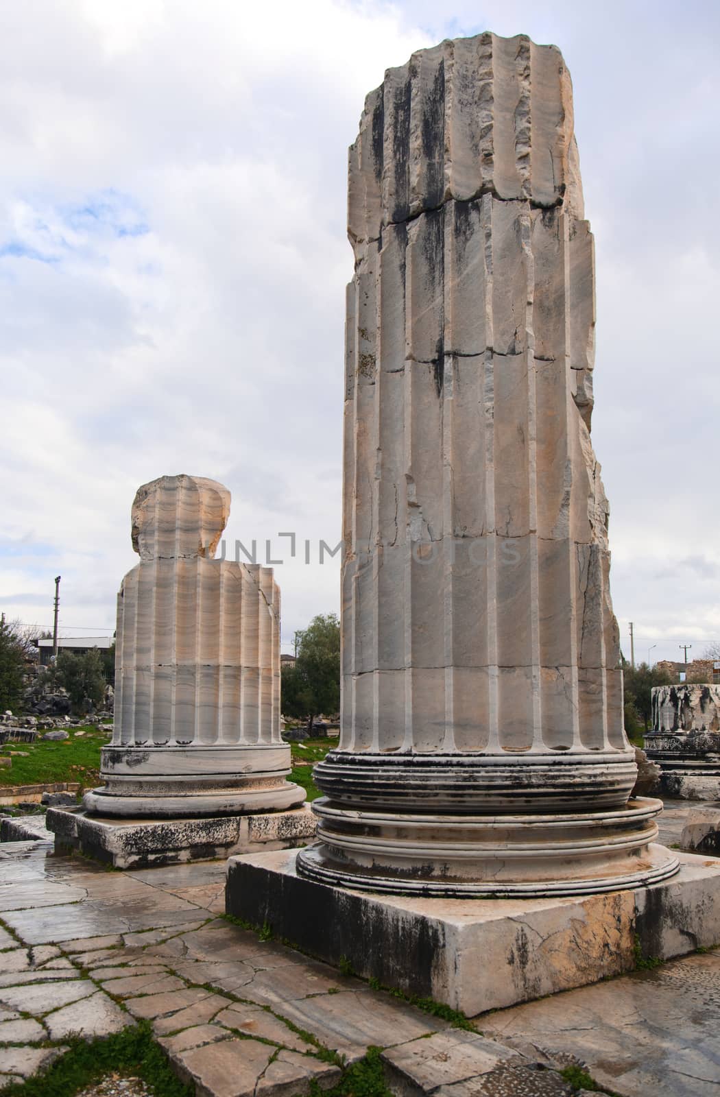 Ruins of ancient Apollo temple in Didyma, Turkey