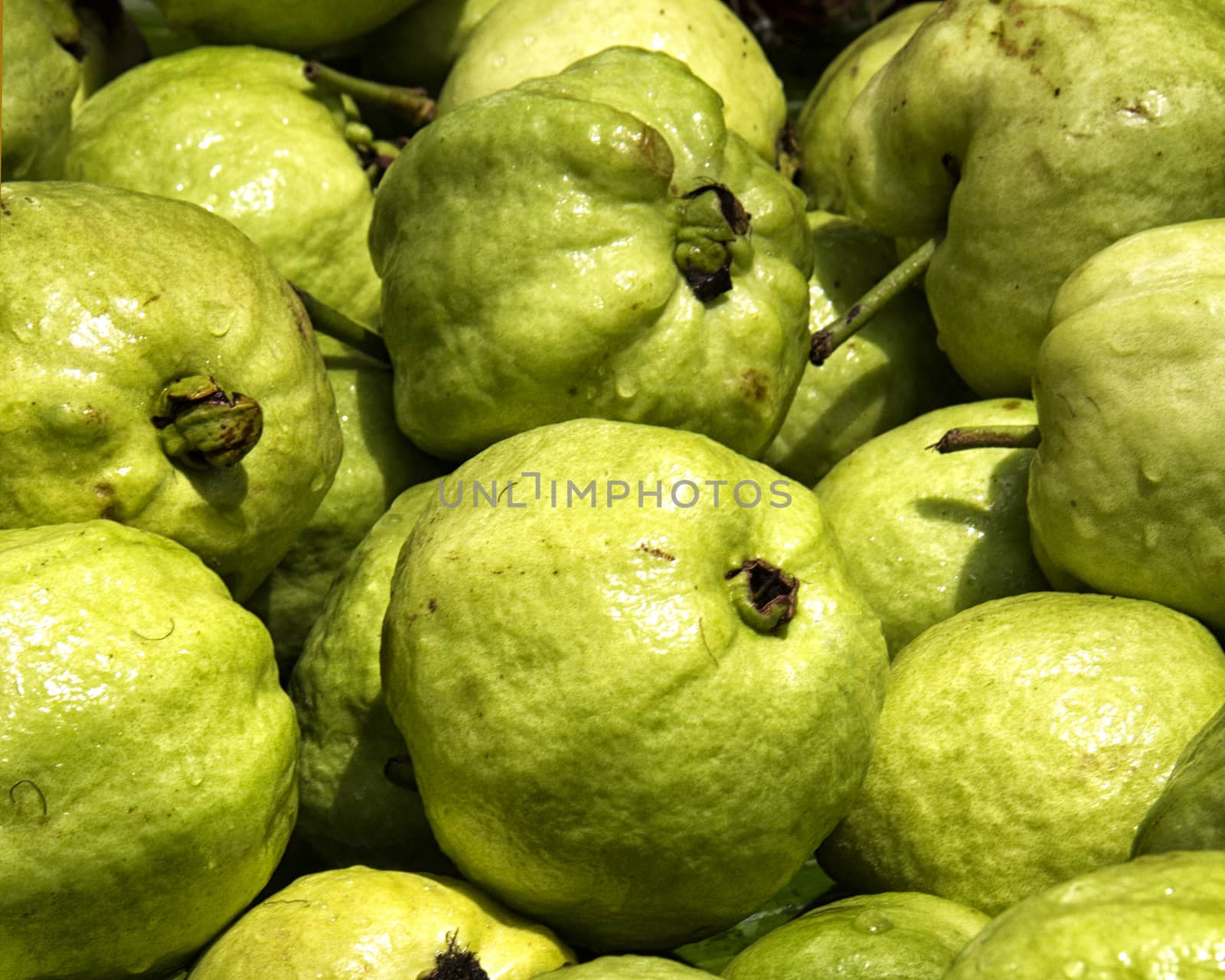 Guava fruit