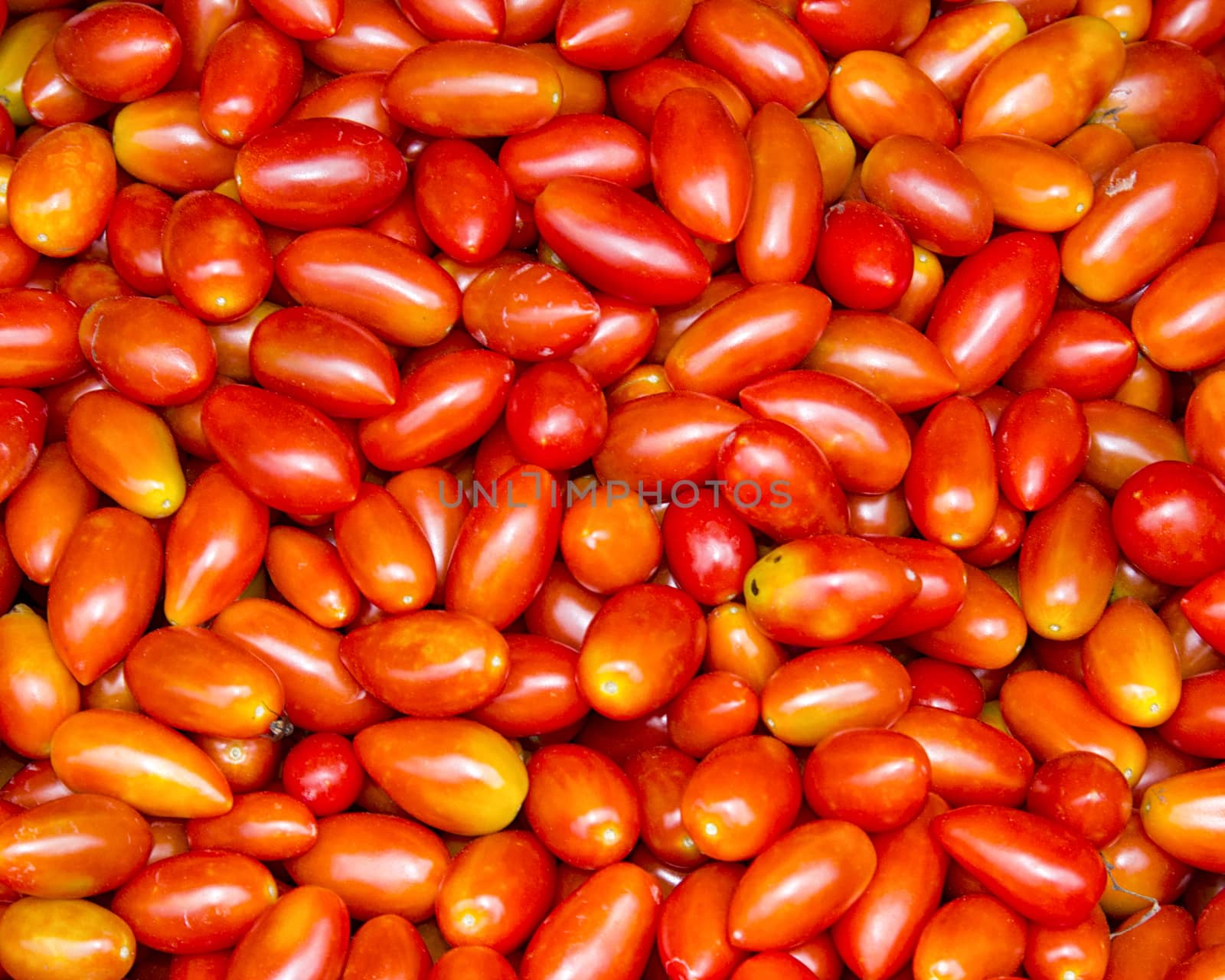 tomatoes by khellon
