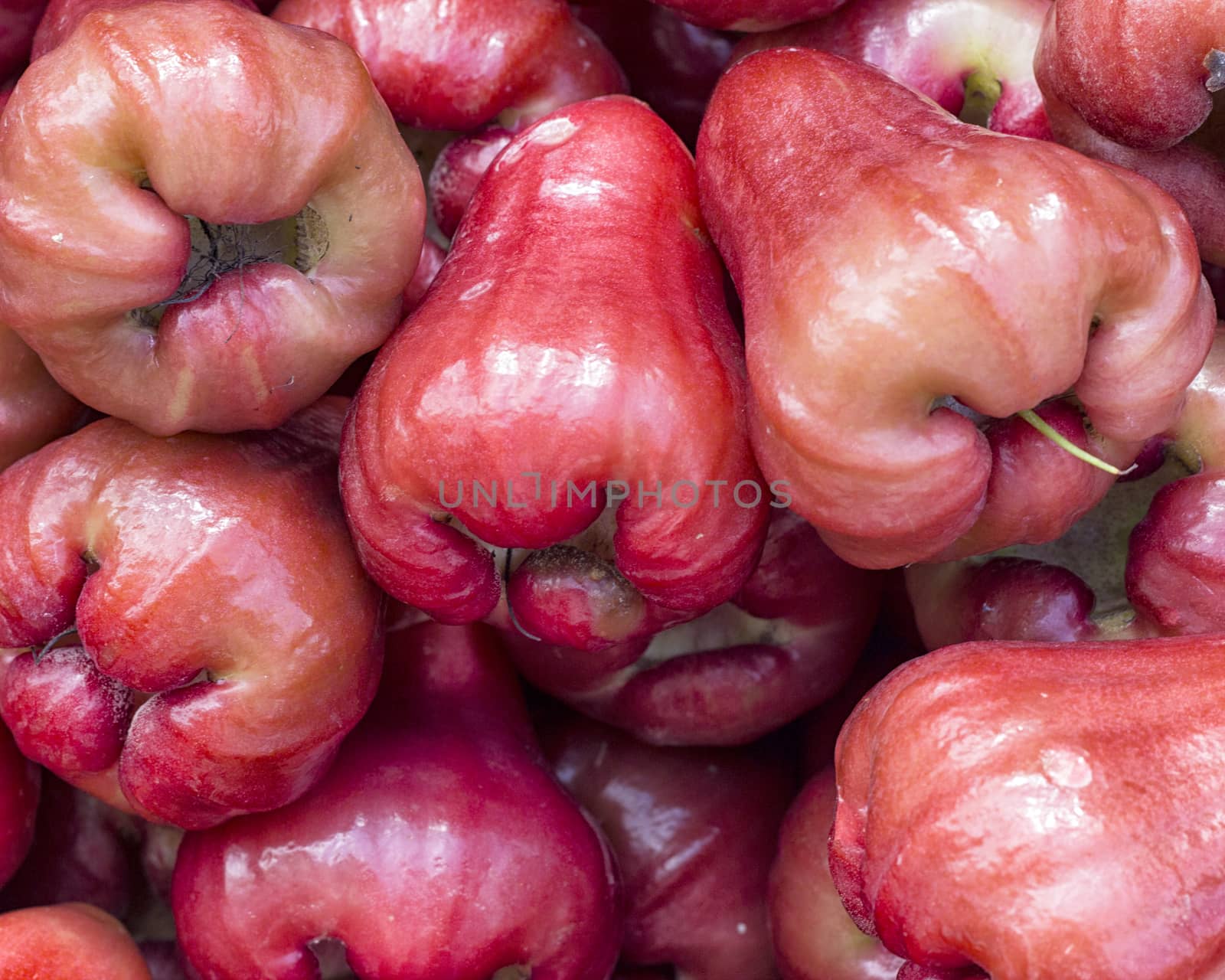 rose apples by khellon