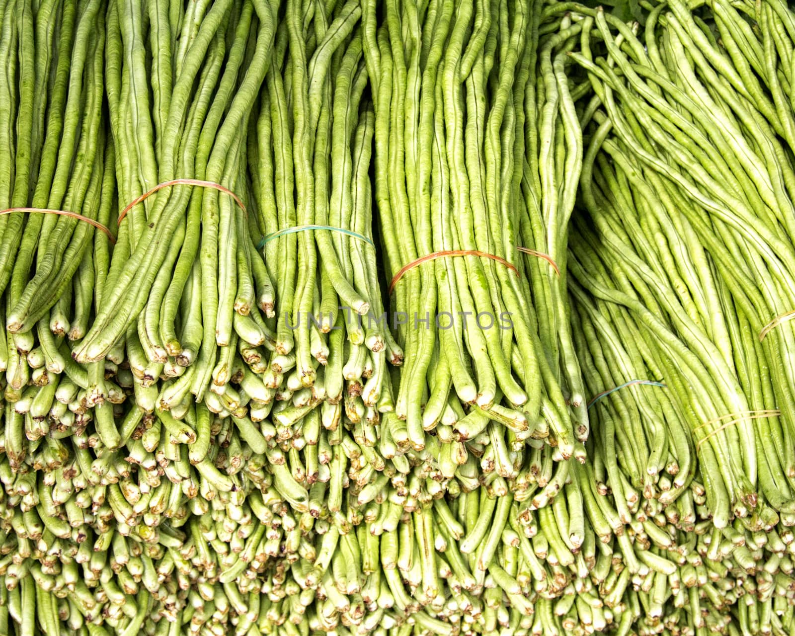 green beans by khellon