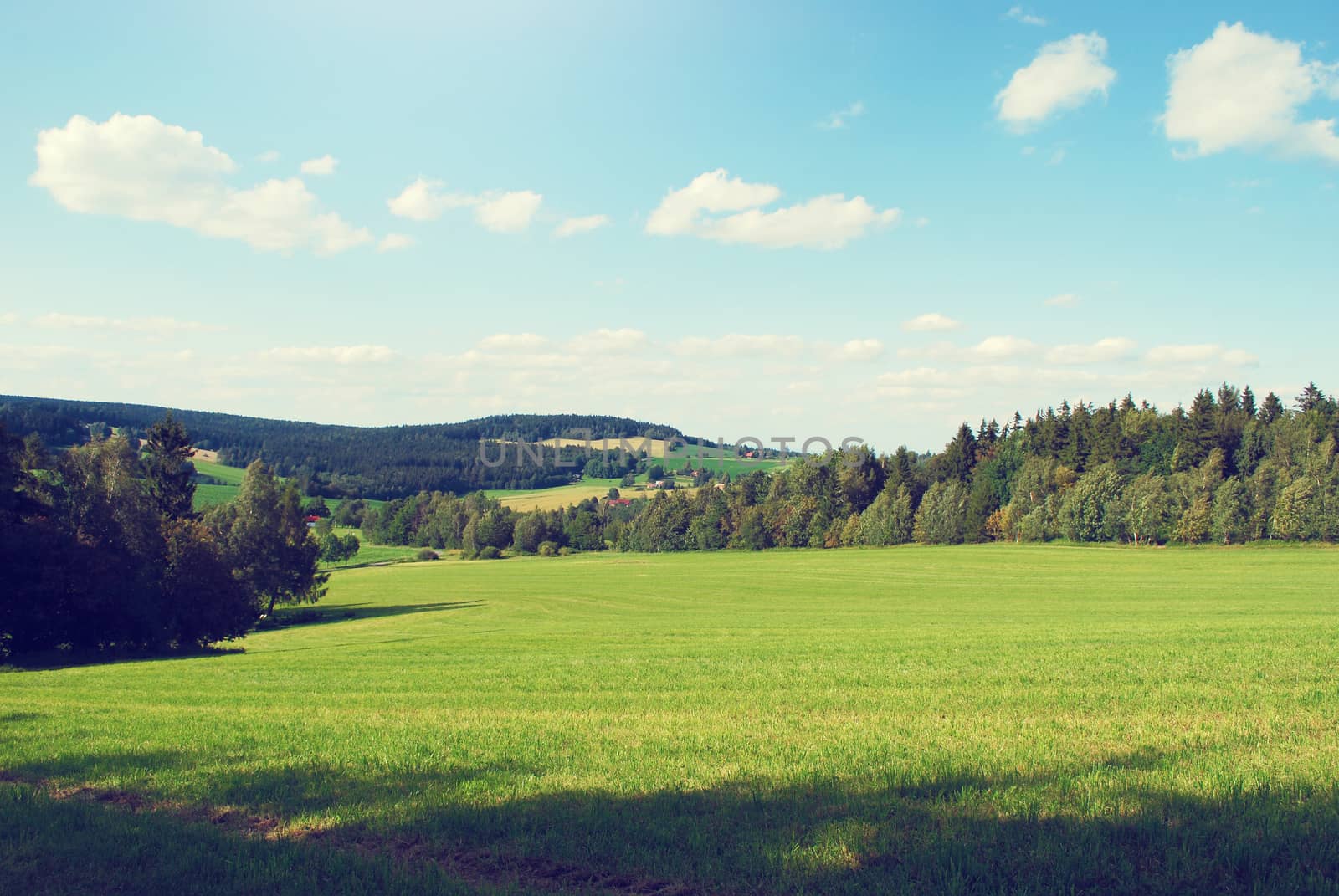 summer landscape in retro colors