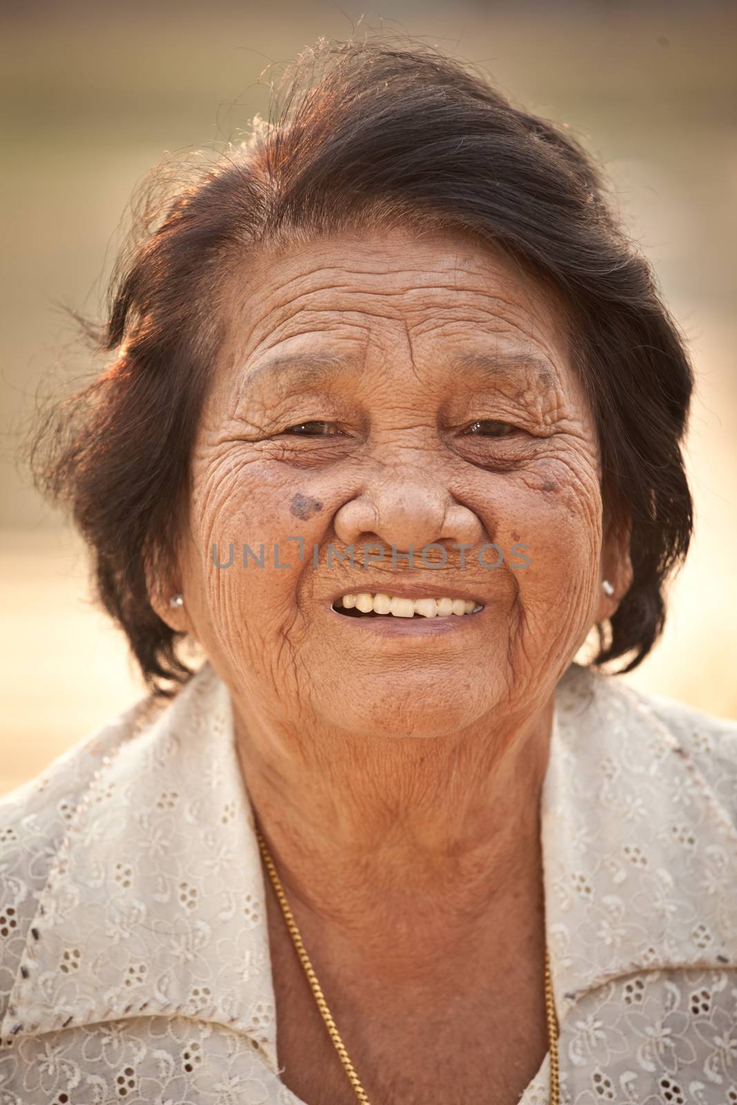 Portrait Of Happy Senior Asian Woman At Outdoor