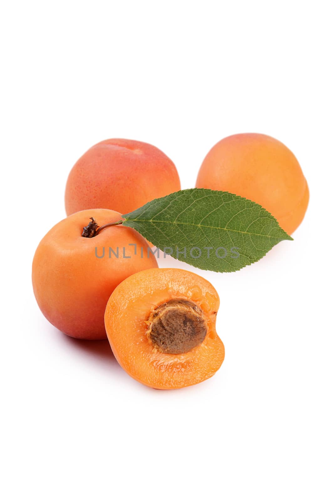 The fresh apricot with a leaf isolated