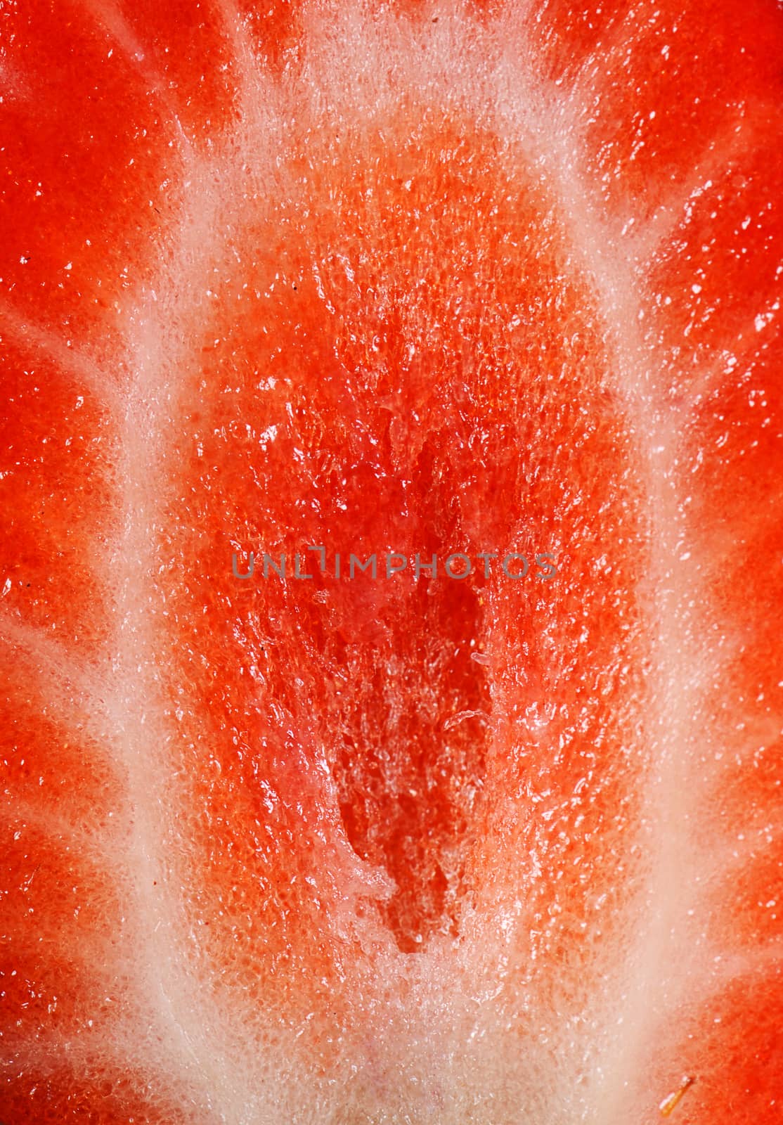 The half fresh strawberry as a background