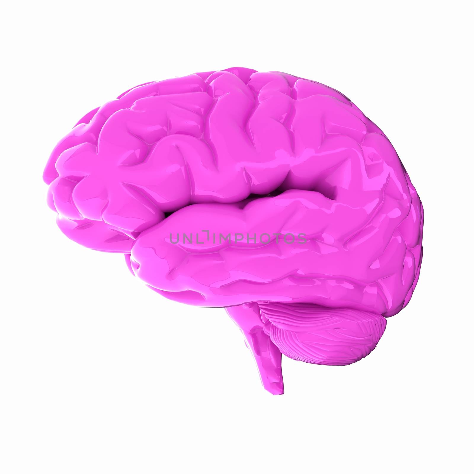 Human brain by Guru3D