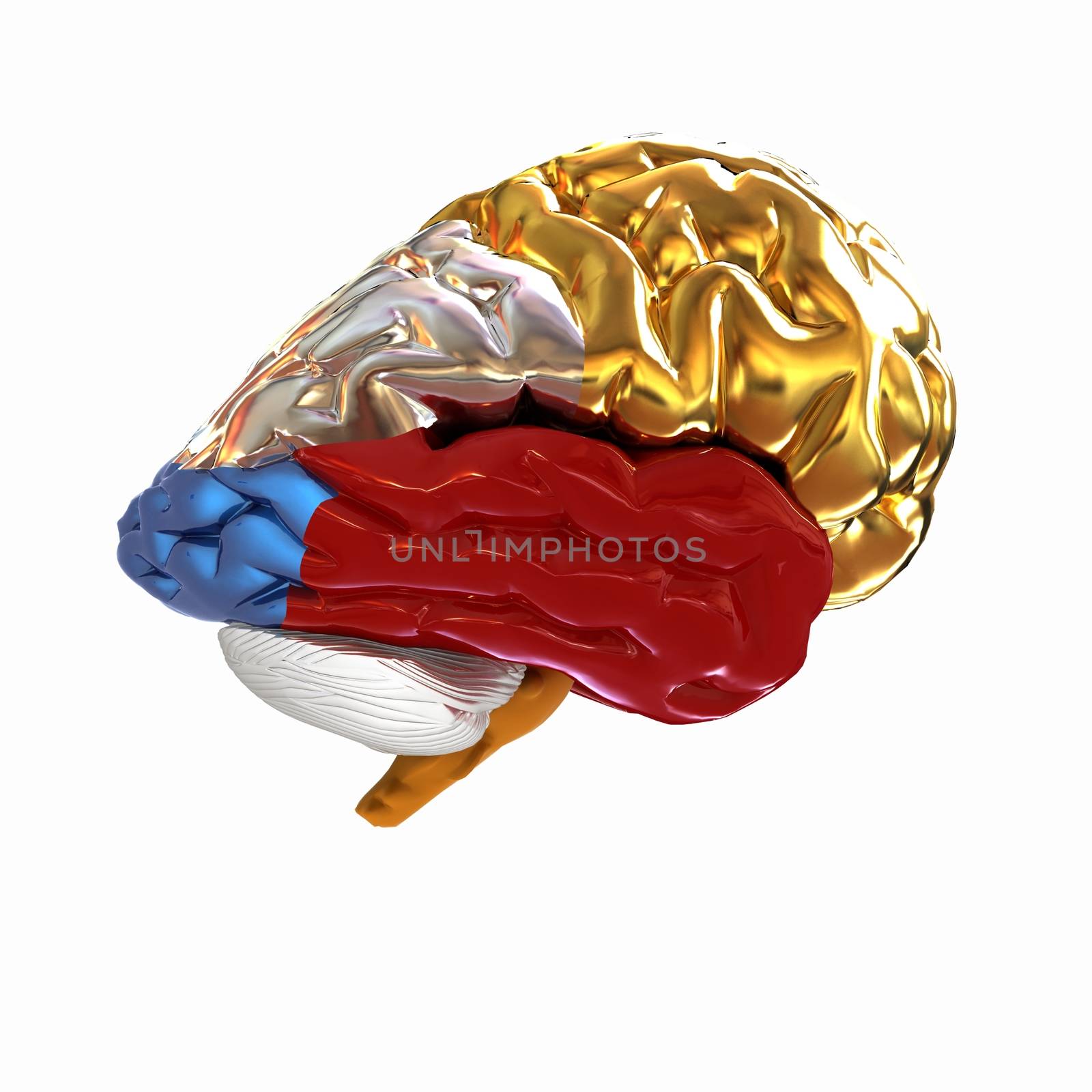 Colorfull human brain by Guru3D