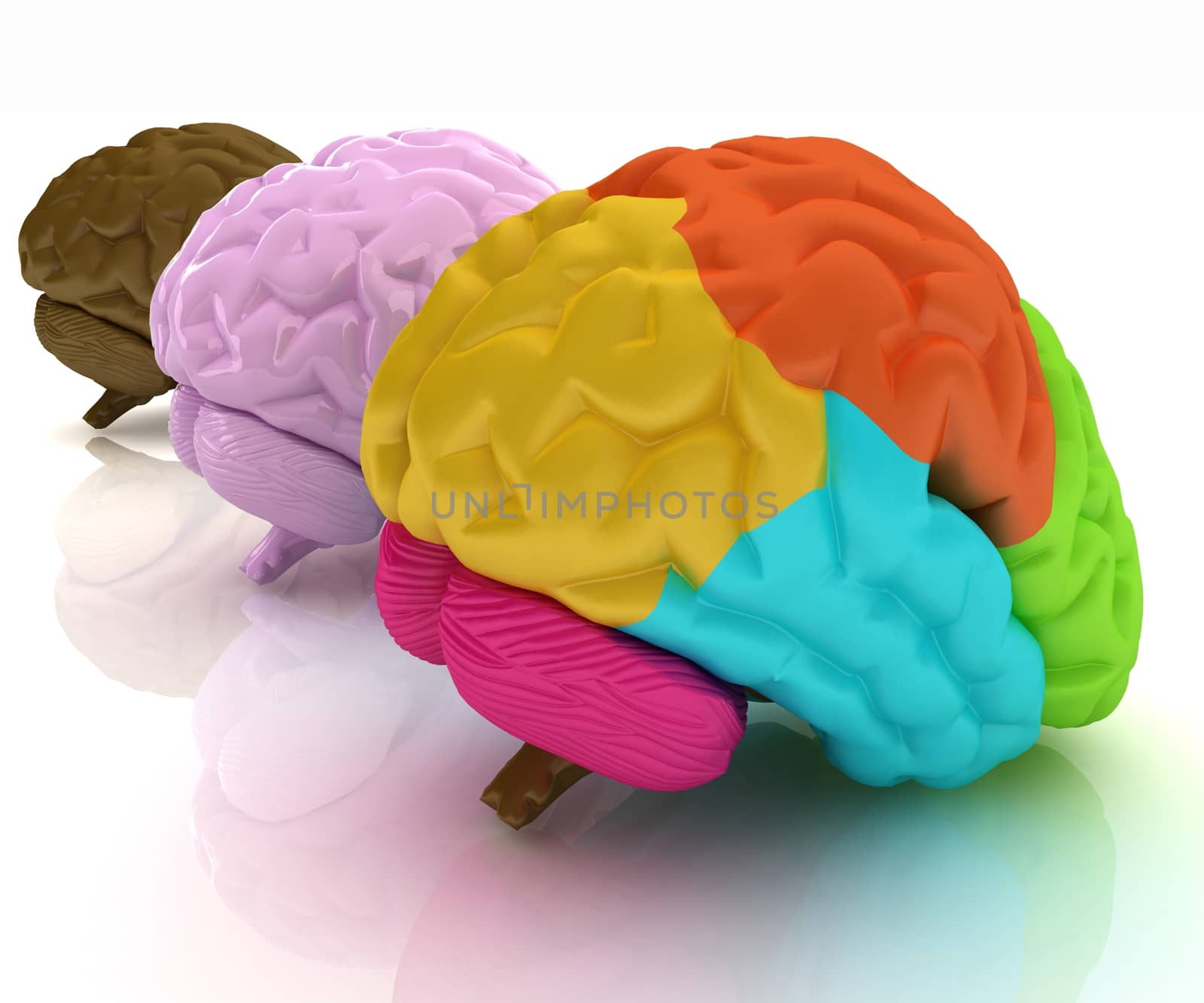 Human brains by Guru3D
