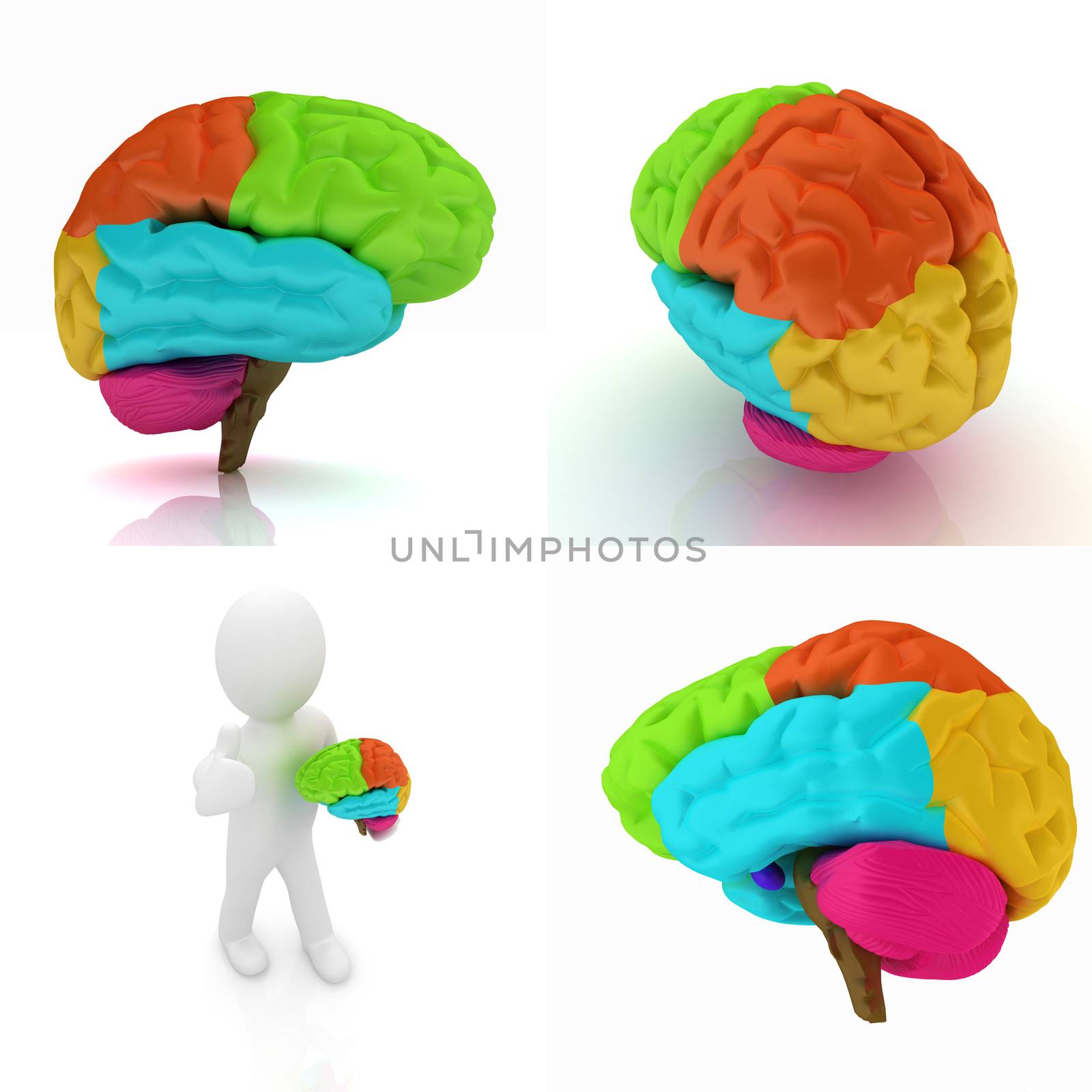 Colorfull human brain by Guru3D