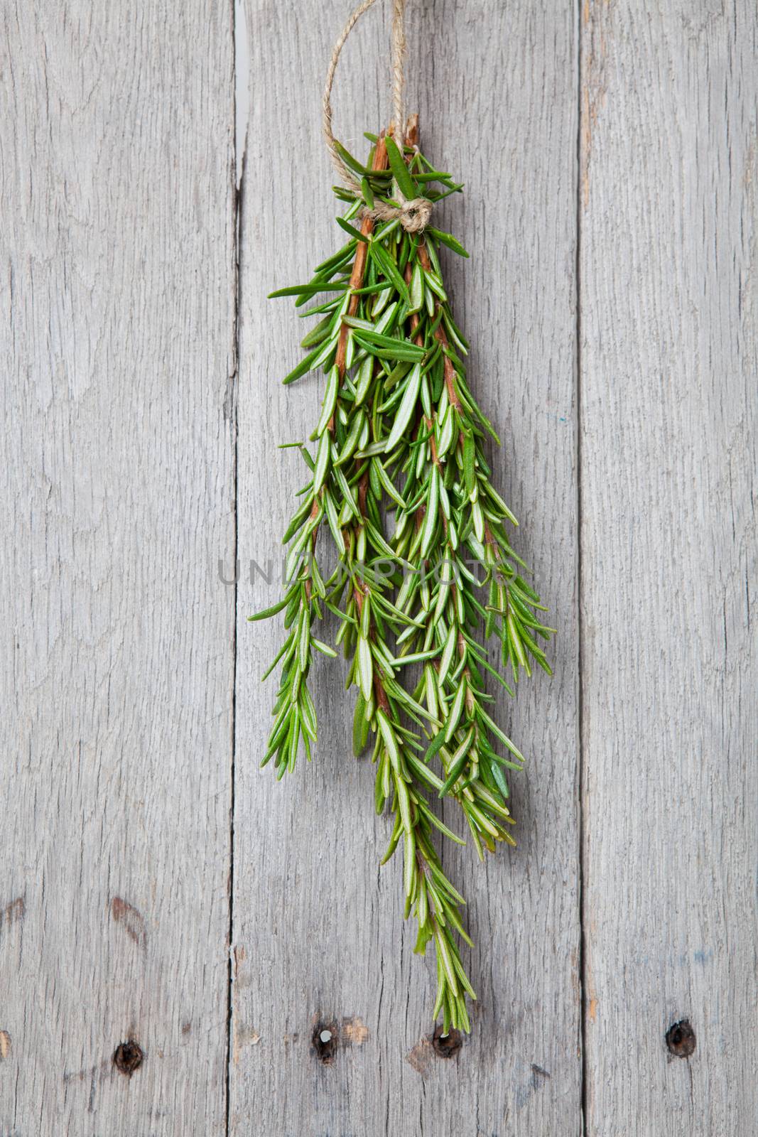 Fresh rosemary hung upside down to dry.